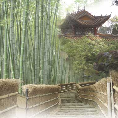 Tempel im Bambuswald